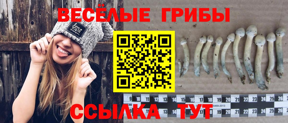 Галлюциногенные грибы ЛСД Санкт-Петербург