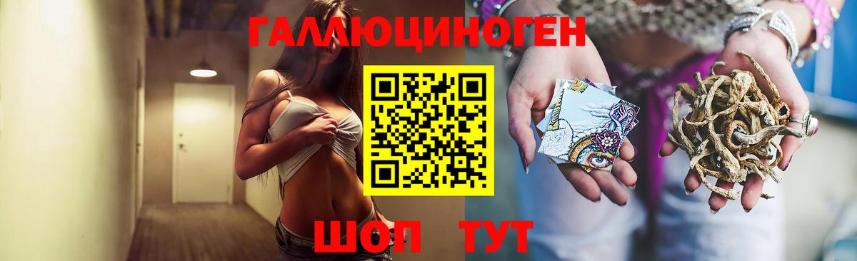 Псилоцибиновые грибы Magic Shrooms  Вход с VPN  Санкт-Петербург  Псилоцибиновые грибы GOLDEN TEACHER 