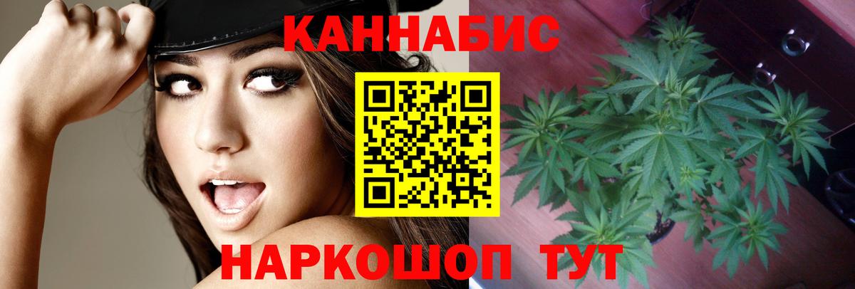 Бошки марихуана семена  Каннабис ГИДРОПОН  Бошки Шишки LSD WEED  Вход с VPN  Санкт-Петербург  Шишки марихуана индика 